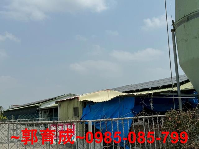 嘉義溪口雞園-4