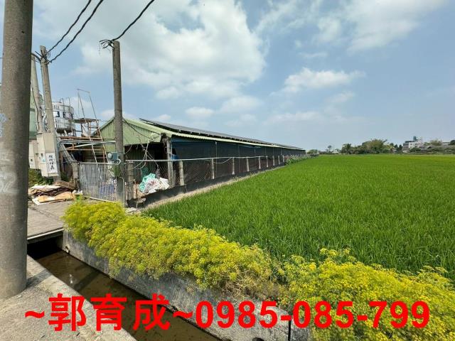 嘉義溪口雞園-5