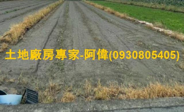 高雄林園農地-1