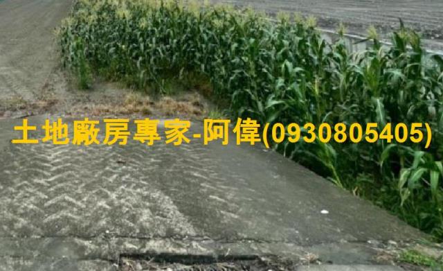 林園農地-1