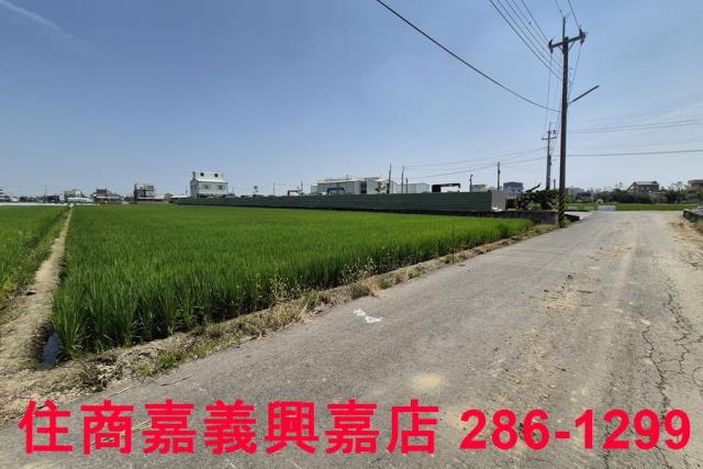 民雄農地-10