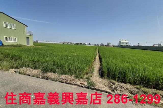 民雄農地-2
