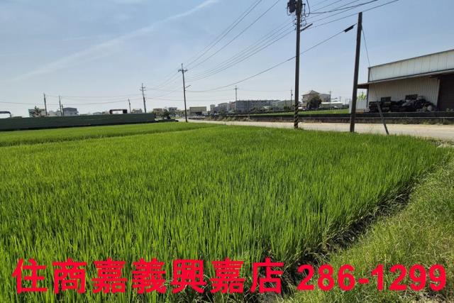 民雄農地-7