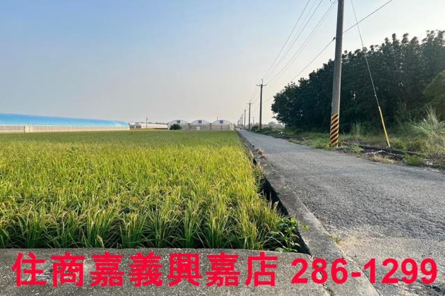 太保農地-6