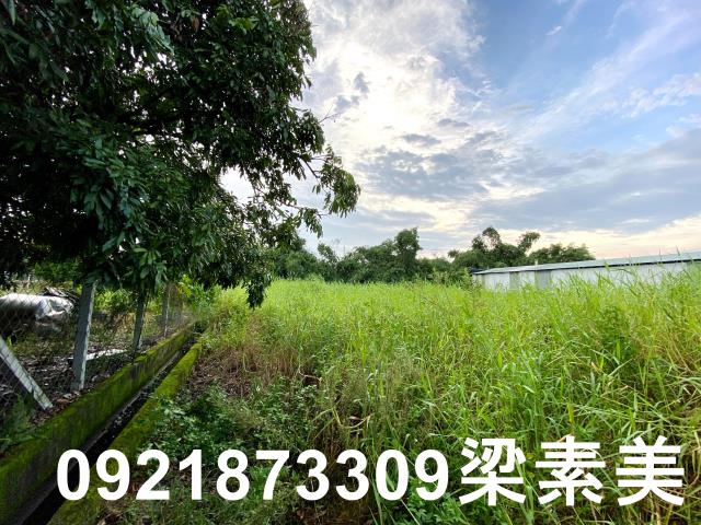 台南農地-10