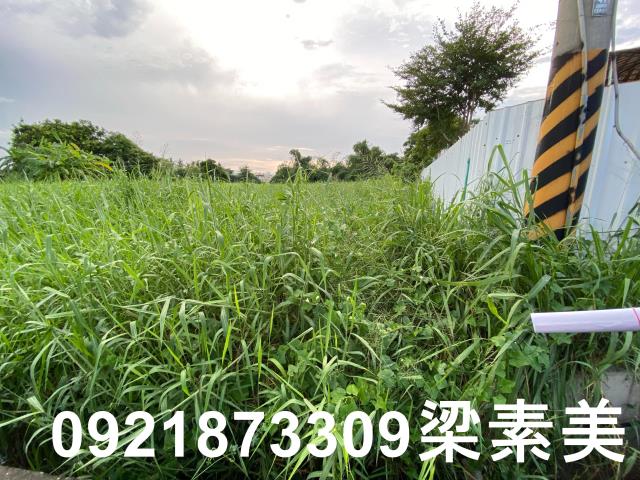 台南農地-2