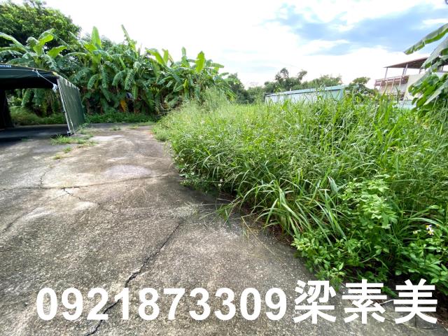 台南農地-5