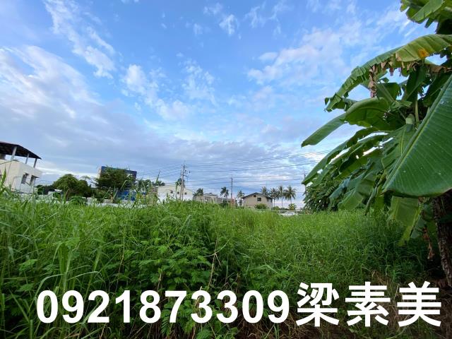 台南農地-8