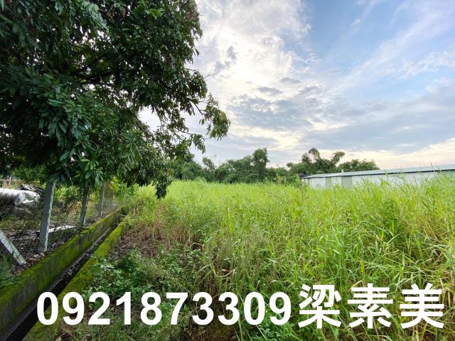 台南農地-9