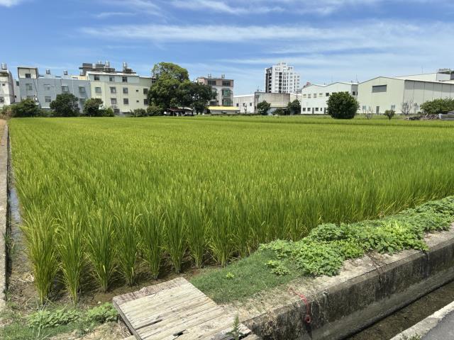 台中農地-1