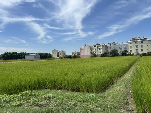 台中農地-2