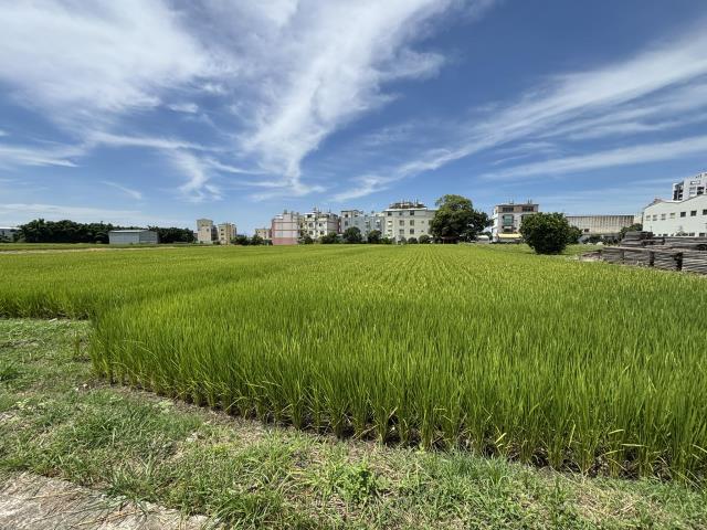 台中農地-3