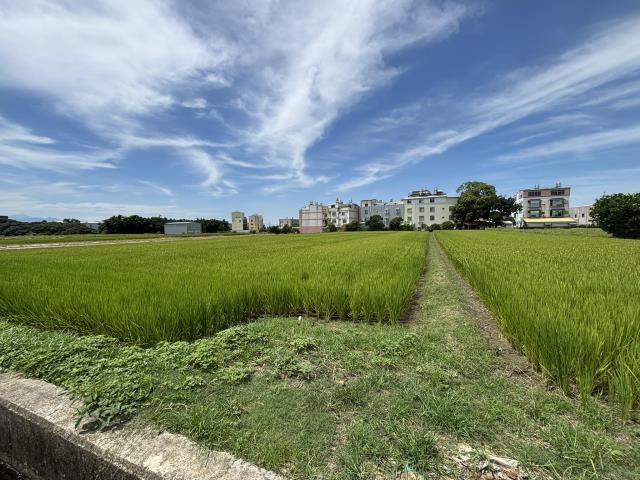 台中農地-5