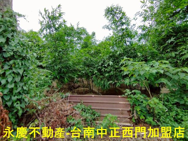 歸仁農地-5