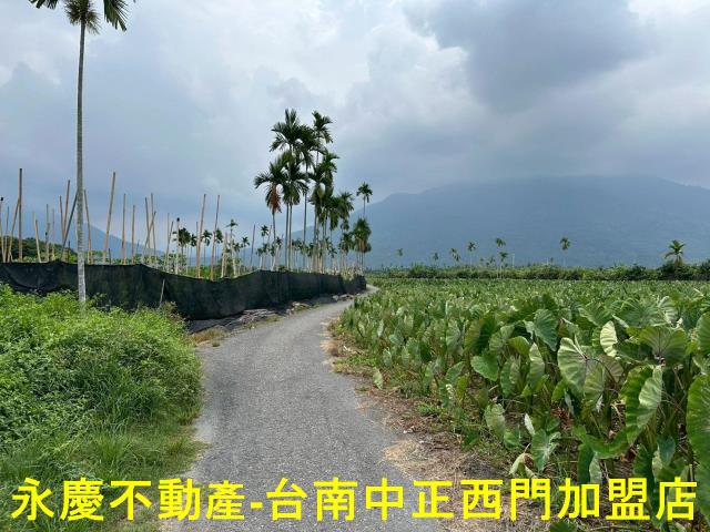屏東農地-11