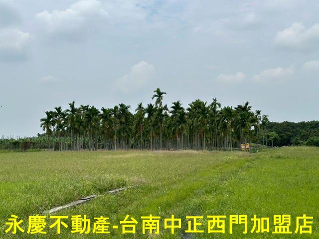屏東農地-14