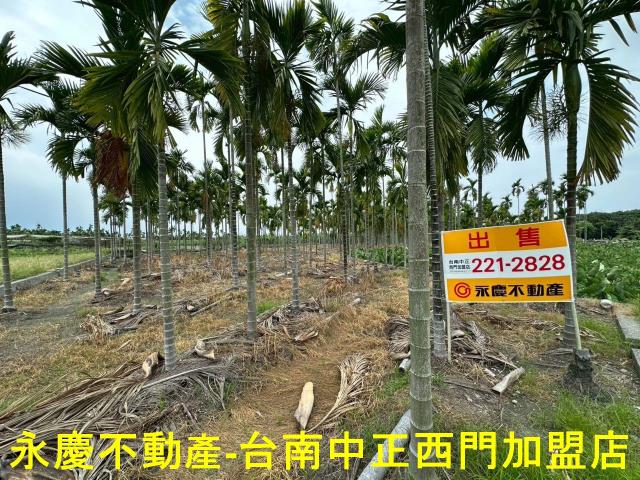 屏東農地-1