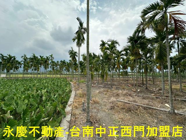 屏東農地-2