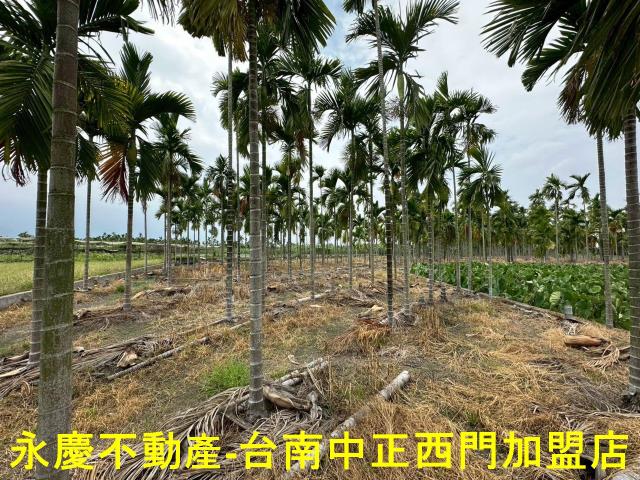 屏東農地-3