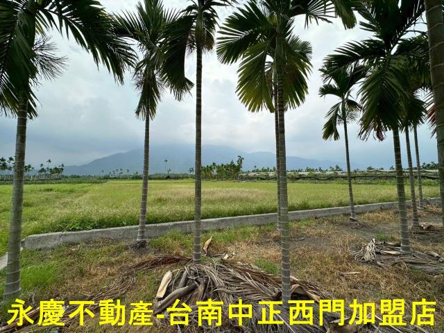 屏東農地-4