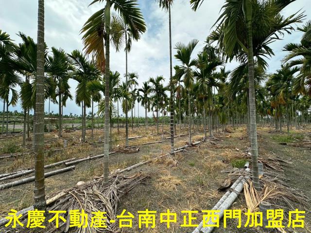 屏東農地-5