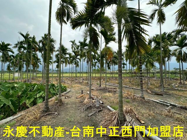 屏東農地-6