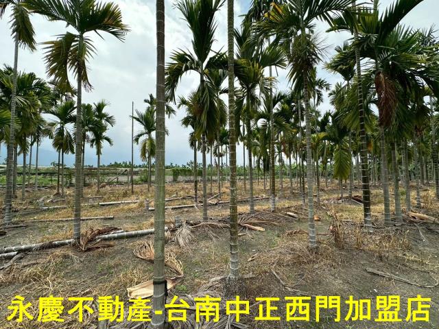 屏東農地-8