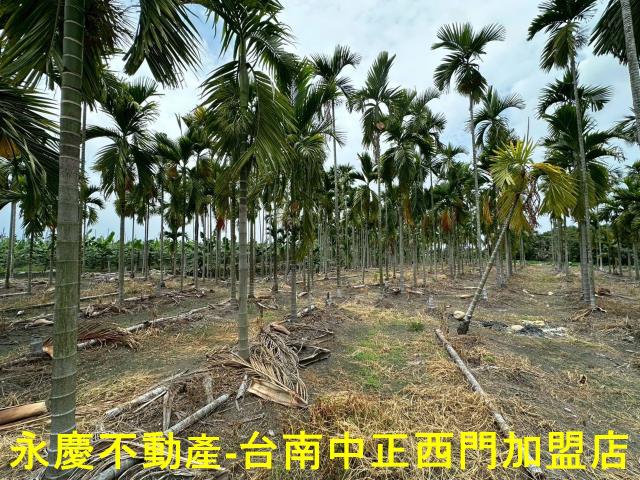 屏東農地-9