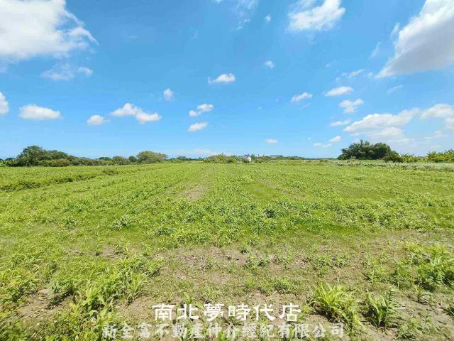 台南鹽水農地-5