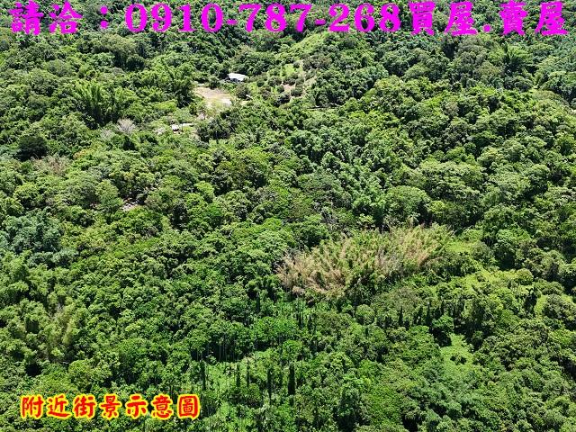 台南白河農地-6
