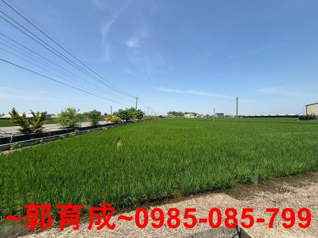 大林農地-1