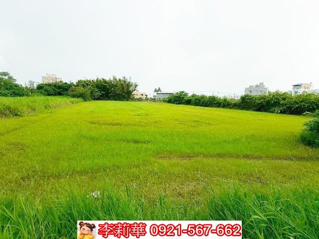 歸仁農地-11