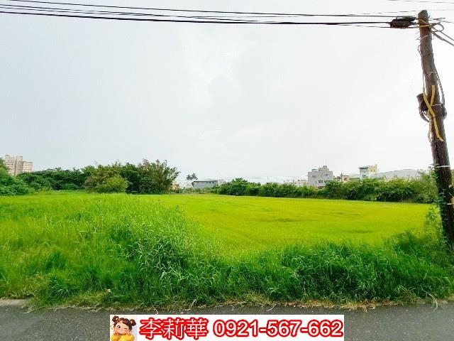 歸仁農地-7
