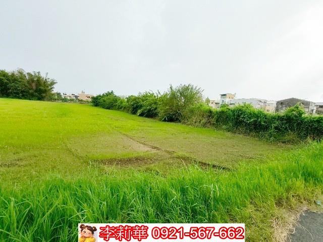 歸仁農地-8