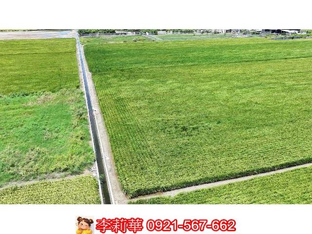 台南農地-9