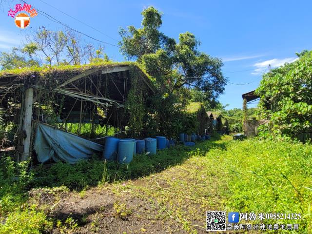 台南白河農地-3