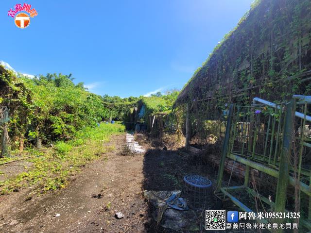 台南白河農地-5
