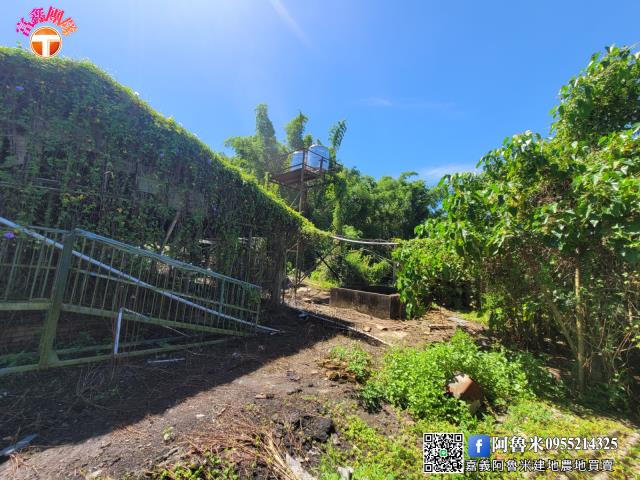台南白河農地-7