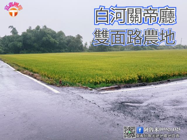 台南白河農地-1