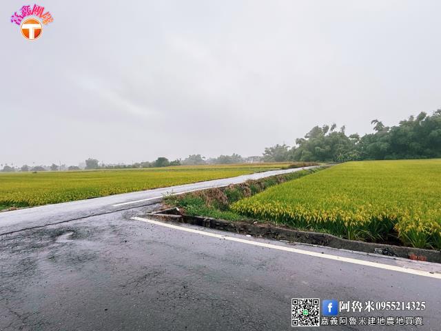 台南白河農地-2