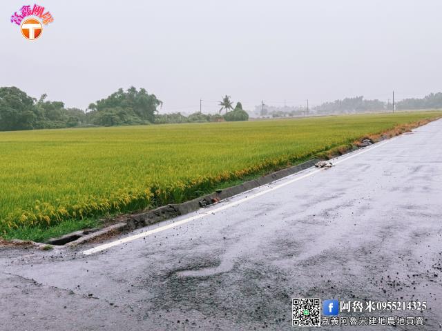 台南白河農地-3