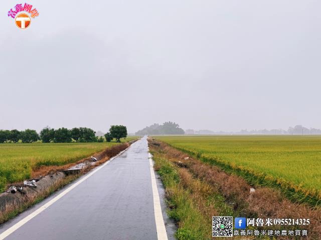 台南白河農地-5