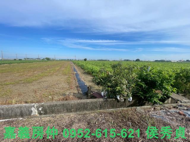 鹿草農地-7