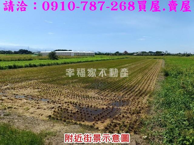 柳營農地-6