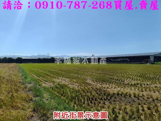 柳營農地-7
