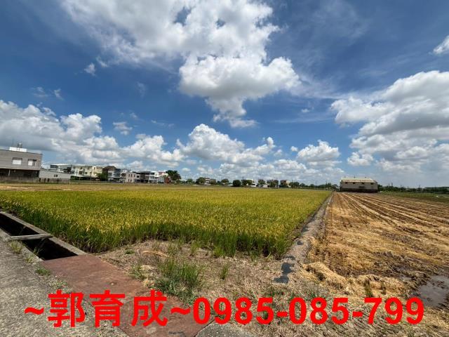 嘉義農地-2