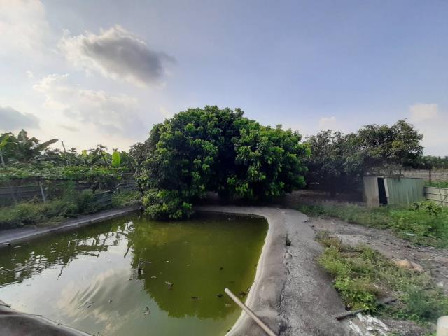 長治農地-2