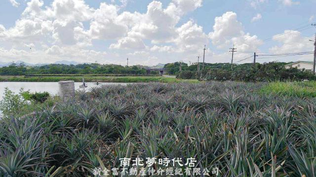 台南柳營農地-10