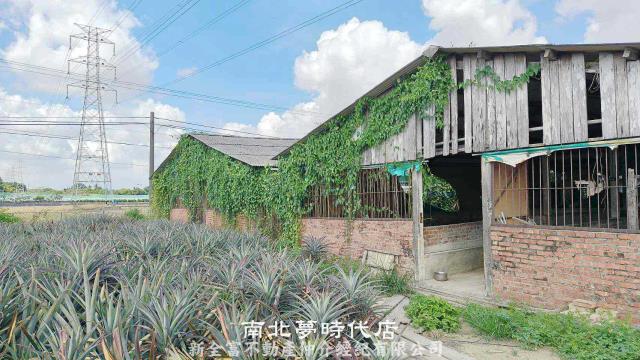 台南柳營農地-4