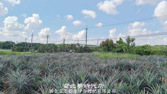 台南柳營農地-5